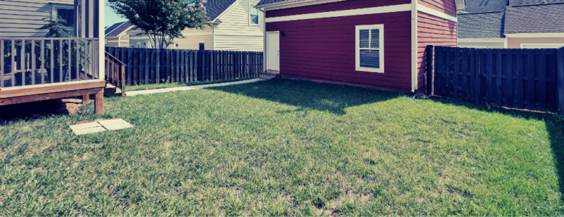 sparse grass in a backyard with red shed fence and landscape brick in view