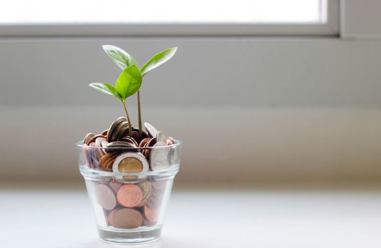 small glass cup of pennies and other coins with little sprouts growing out of them