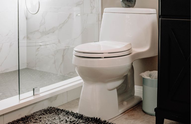 white toilet with elongated bowl in front of a walk-in shower in a modern bathroom