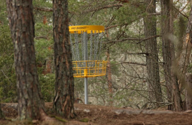 yellow disc golf basket in a forest