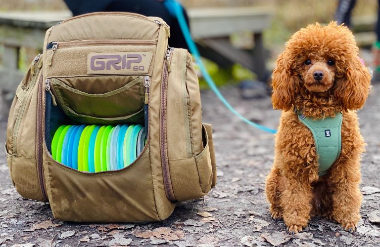 bag of disc golf discs and a dog sitting next to it