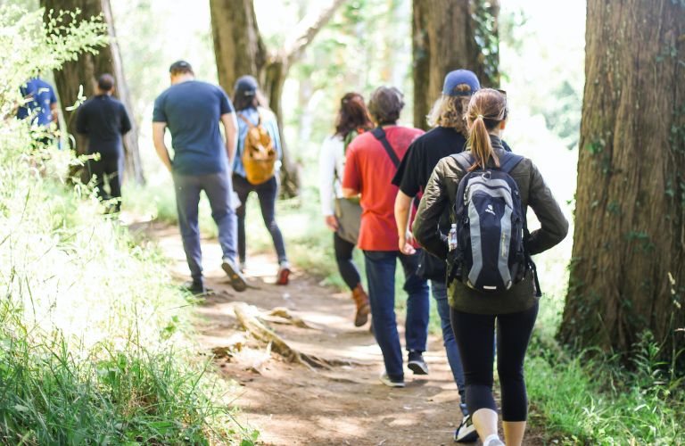 group of people walking and hiking on a forested trail