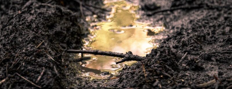 puddle of muddy water in exposed dirt