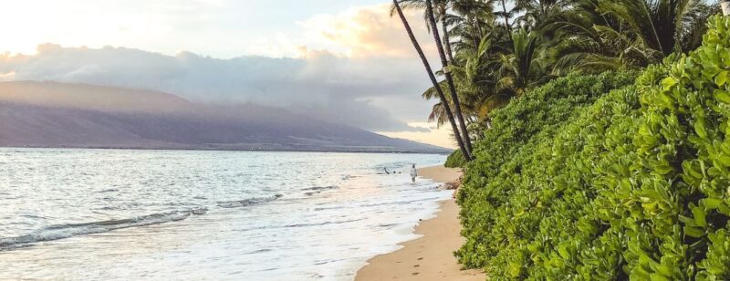 maui beach beautiful vista sand trees and ocean with mountains in the background