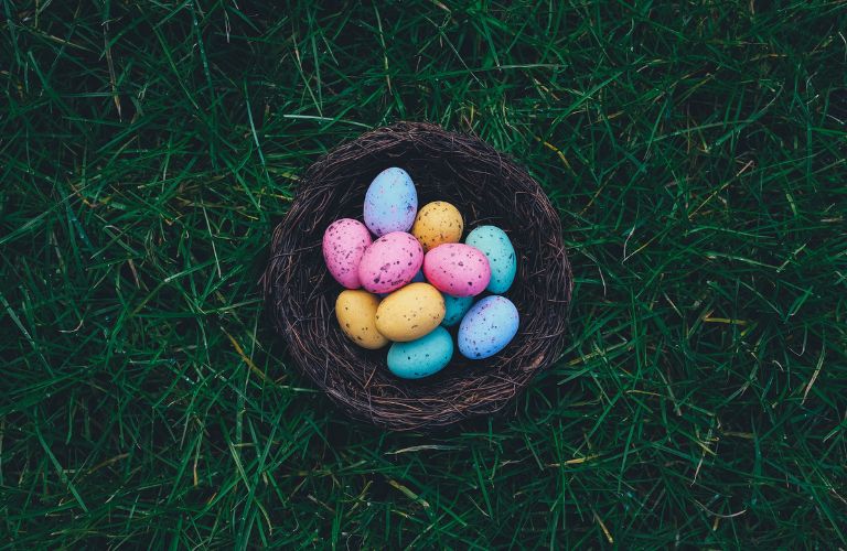 small nest full of colored eggs resting on dark green grass