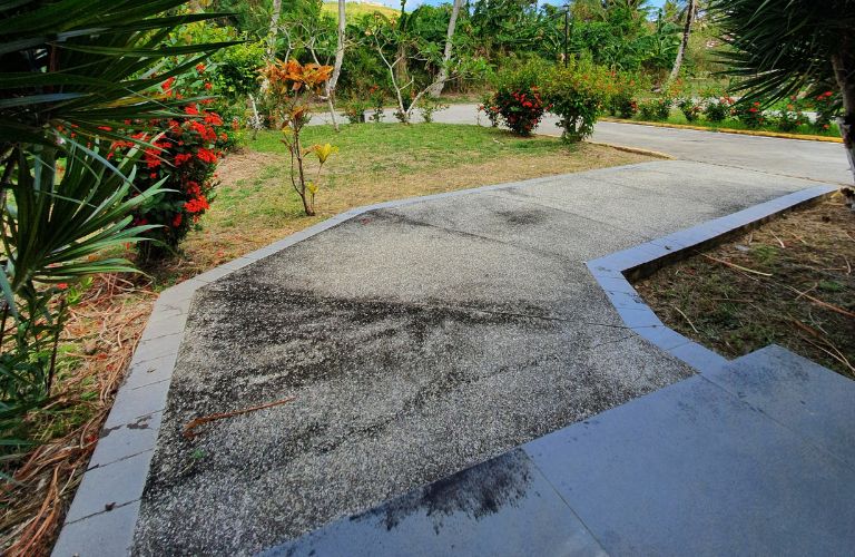 gravel driveway in the yard of a tropical environment