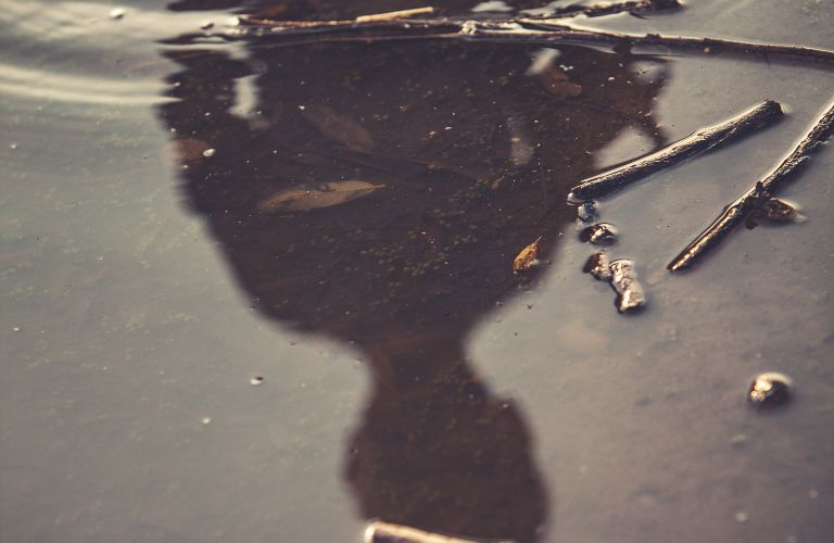 shadow of person looking down into muddy water