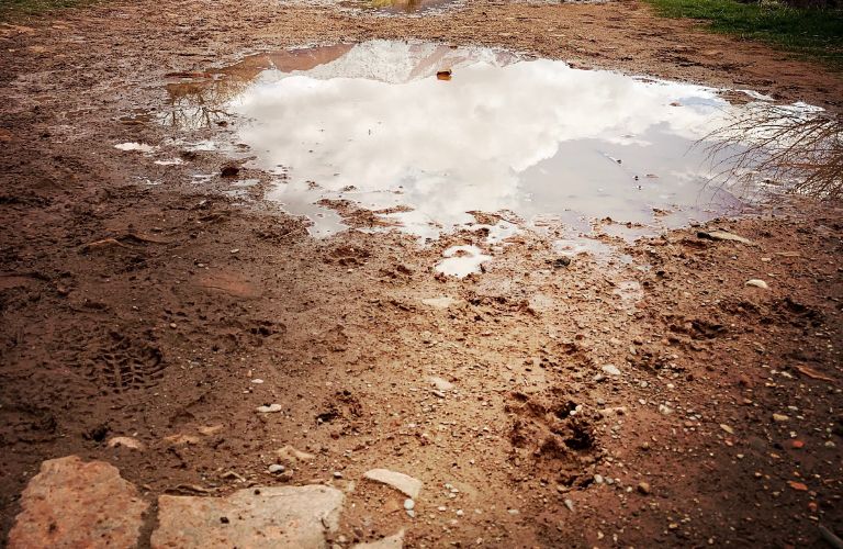 puddle of water in a dirt patch on the ground