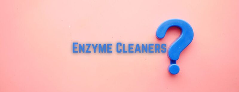pink background with blue words enzyme cleaner and a large question mark