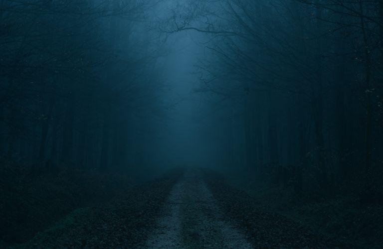 dark gravel path at night with fog and leafless trees