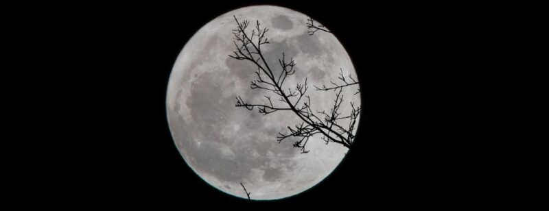 full moon at night with a branch of a tree obscuring it