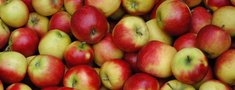 apples of yellow and red in a pile