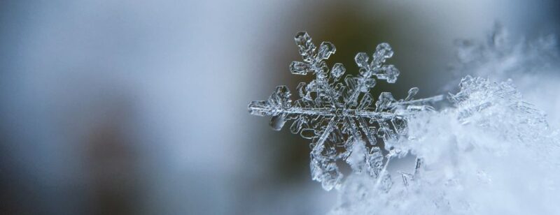 a single snowflake seen in detail with a blurred background