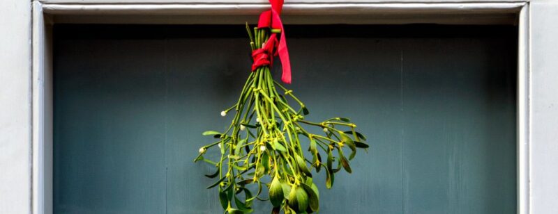 sprigs of mistletoe hanging from a doorway by a red ribbon