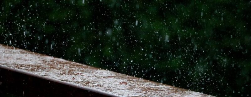 rain falling on a deck railing with dense trees behind it