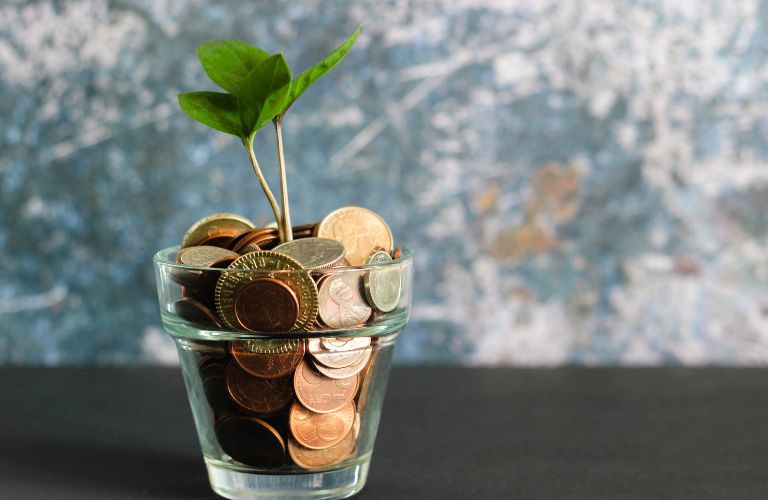 glass pot filled with coins and a small green sprout emerging out of the top